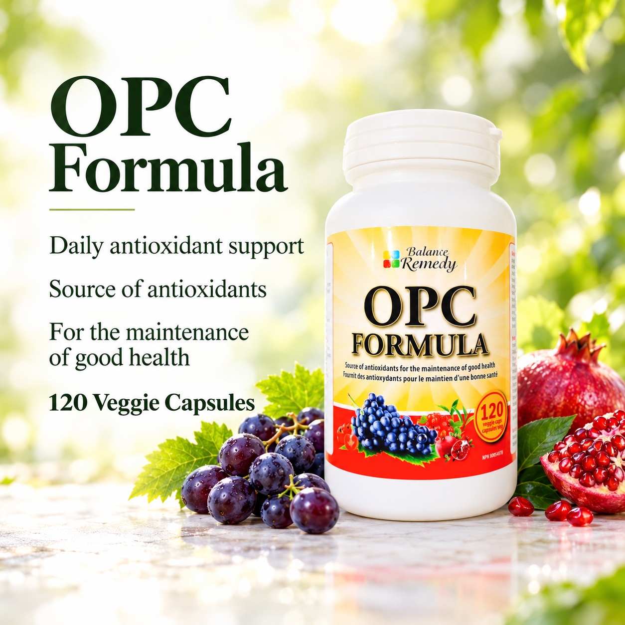 OPC Formula daily antioxidant support for the maintenance of good health